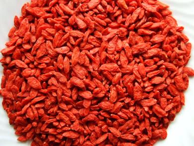 chinese goji berry Fruit china Lycium barbarum Fruit wolfberry Fruit